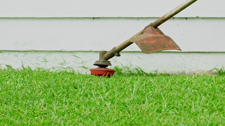 Best Lawn Maintenance Plans  in Cicero, IL